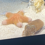 和人