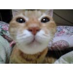 userPhoto