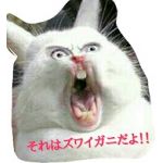 それはズワイガニ