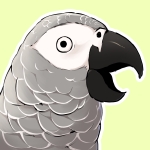 冷奴