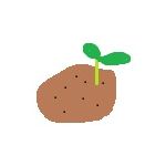 海苔塩じゃがいも