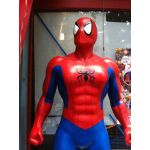 spider-web