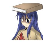 タマゴドウフ