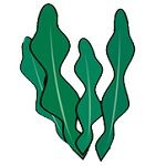 nekonnbu
