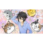 豚猫