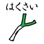 ねくらさん