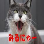 てんしぃ