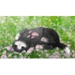 そぼろ