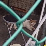 善次郎、