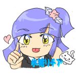 氷糖　リチア