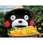 kuma19@