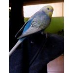 userPhoto