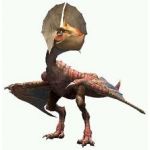 クック