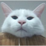 くりふわ