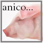 anco