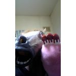 馬刺し