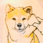 かがみん