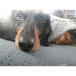 アイ´×｀