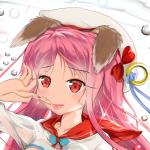 蛙_