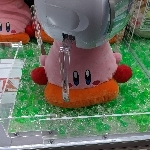 うりぃ