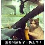 佐佐不太帥