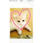 userPhoto