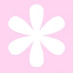花信風