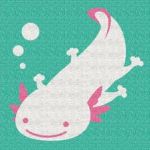 うーぱー