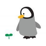userPhoto