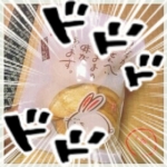 しゅろん