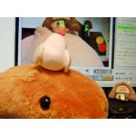 てん
