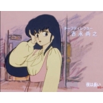 四六シチュー