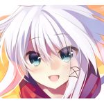 MELT