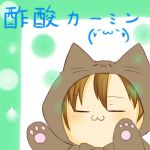 酢酸カーミン