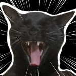 あめしよ
