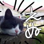 えぬ