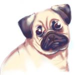 じょにあ
