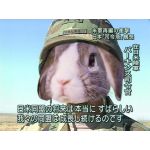 肉うどん