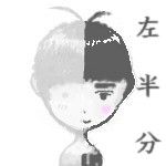 左半分