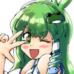 ただのナス
