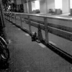isolate