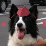 ぱちモン