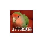 ッデ！ デデデッチのコデチ放送