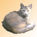 taka