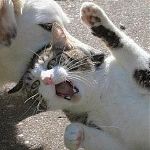 ユーザー画像