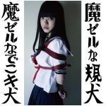 超常現象なでこ/魔ゼルな規犬