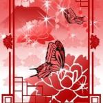 葵晴