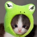 popo