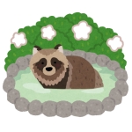 ゆでだぬき