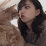 きゃらめる